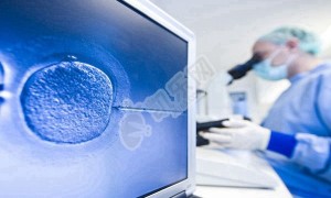 洛阳市妇幼保健院能做供卵试管婴儿吗 附费用介绍