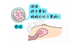 试管婴儿生龙凤胎几率大吗 千万要注意这三件事