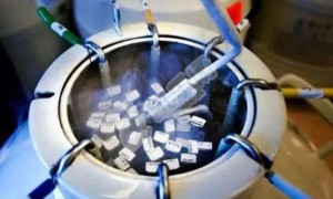 2022河南做供卵试管要多少钱 有哪些花费项目