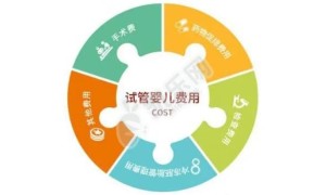 做试管生龙凤胎要多少钱 来查看费用分析