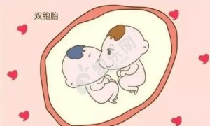 做试管生双胞胎的风险 看你知道吗