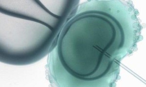 江西试管婴儿医生哪个好 擅长诊疗技术有哪些
