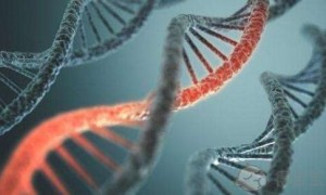 做试管婴儿胚胎着床出血第三天用验孕棒却测不出怀孕是为什么