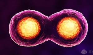 绝经3年高龄生三胎到海口哪家医院做试管能一次成功？