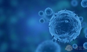 厦门妇幼保健院可以做三代试管婴儿吗？附试管费用明细？