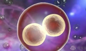 济南市妇幼保健院试管婴儿包生男孩价格多少？试管助孕费用明细