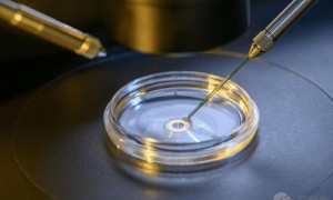 2022年深圳第三代试管婴儿有几家？附深圳三代试管医院介绍