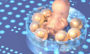 福州第三代试管代怀生子医院排名，附试管助孕成功率费用一览？