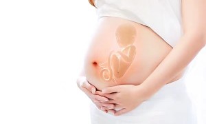石家庄市妇产医院试管婴儿费用多少？附石家庄试管婴儿医院成功率排名