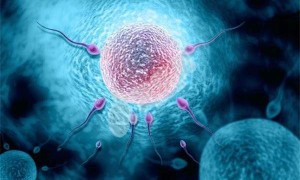 男性做人工授精有哪些条件要求？附人工授精男性精子5点标准一览