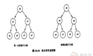 上海瑞金医院做供卵试管多少钱？附供卵试管费用明细