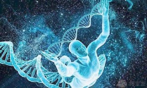 试管移植前做一次免疫治疗能提高胚胎着床成功率吗