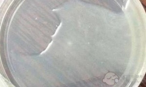 2022漯河市第一人民医院试管男孩费用明细公布