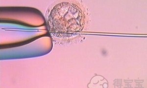 上海试管婴儿可以报销吗 试管婴儿费用需要多少
