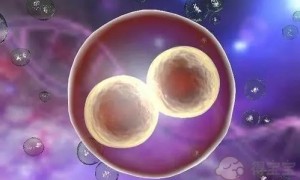 黄体期促排是一种新型促排方案，两分钟就可以全面了解它