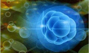 养囊成功率到底高不高，三分钟告诉你答案