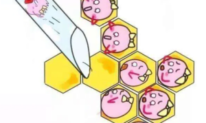 做试管婴儿前不能同房的原因汇总，影响成功率不是闹着玩