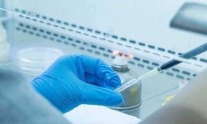 2022上海供卵试管费用明细公布，重点花费主要是这三个部分