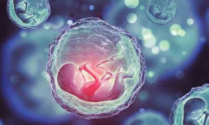 囊胚移植第五天成功征兆：有这5种表现症状祝你好孕