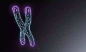 百科解读：一起了解冷冻卵子有哪些优缺点