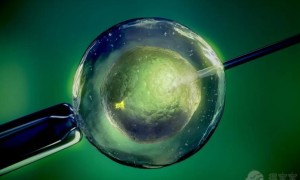 2022三代试管婴儿全过程详解，一切顺利的话仅需2个月