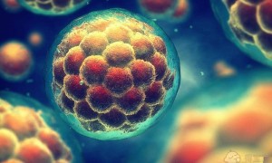 2022昆明三代试管医院排名公布，助孕成功率高也不能包成功