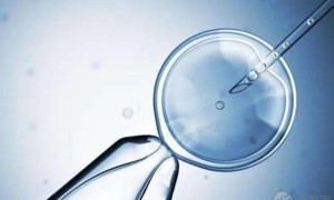 上海仁济医院试管三代成功率高吗？一次有希望成功吗？