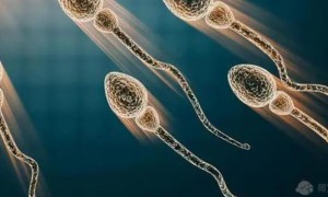 2022长沙私立供卵机构排名榜单一览，附生男孩费用明细参考