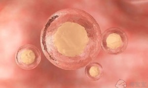2022武汉正规公立医院做三代试管婴儿的费用预算，附三代试管医院名单