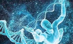 子宫息肉会影响一代试管成功率吗？