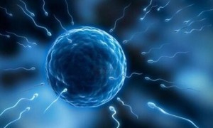 子宫内膜异位症是什么原因造成的？有什么症状？