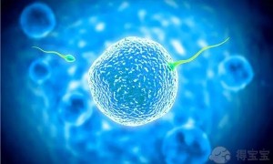 十堰人民医院试管婴儿多少钱？2022试管医院价格表公布