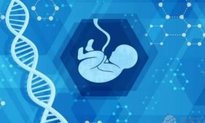 失独家庭做试管婴儿优惠政策？失独做试管有补贴吗？