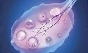 西安交大二附院试管婴儿费用多少？（内附具体花费明细分享）