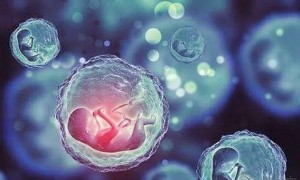 高龄人群在潍坊市妇幼保健院试管婴儿费用需要多少钱