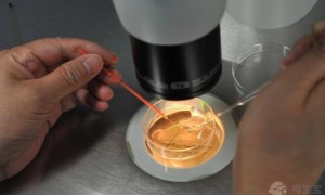 2022年南京省人民医院做试管费用要多少？附全流程费用明细
