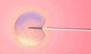 孕酮低吃什么补得快？7种食物帮你快速恢复！