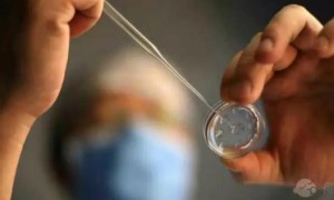上海三代试管包生男孩价格大概多少？一个周期费用多少？