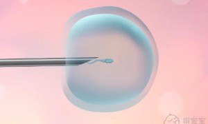少精症做二代试管婴儿的成功率要高于一代试管吗？
