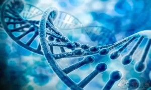江西试管婴儿成功率排行前十医院出炉，附2022三代试管生男孩费用参考