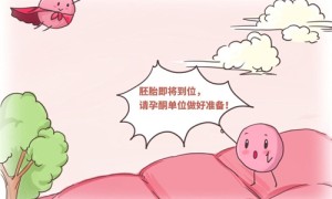 湖北武汉哪里可以做第三代试管婴儿?武汉那个医院成功率最高！