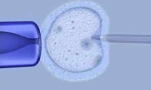 泉州试管婴儿哪家医院好？2022试管医院大全