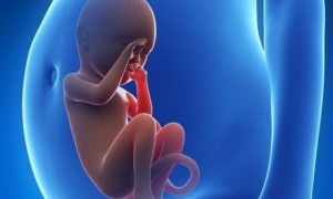 沈阳204医院可以做试管婴儿男孩或者是女孩吗？