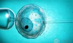 2022年沈阳哪个医院做试管做的比较好？