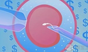 广州中山二院做试管婴儿价格贵不贵？一次试管要多少钱？