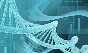 济南哪个医院做试管婴儿技术好？