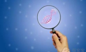 武汉同济医院做试管婴儿多少钱？2022试管大概价格