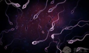 有没有在汕头试管成功的？汕头试管成功率怎么样？